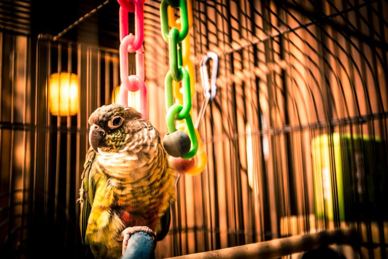 Hotel Selected Residence 平遥県 エクステリア 写真