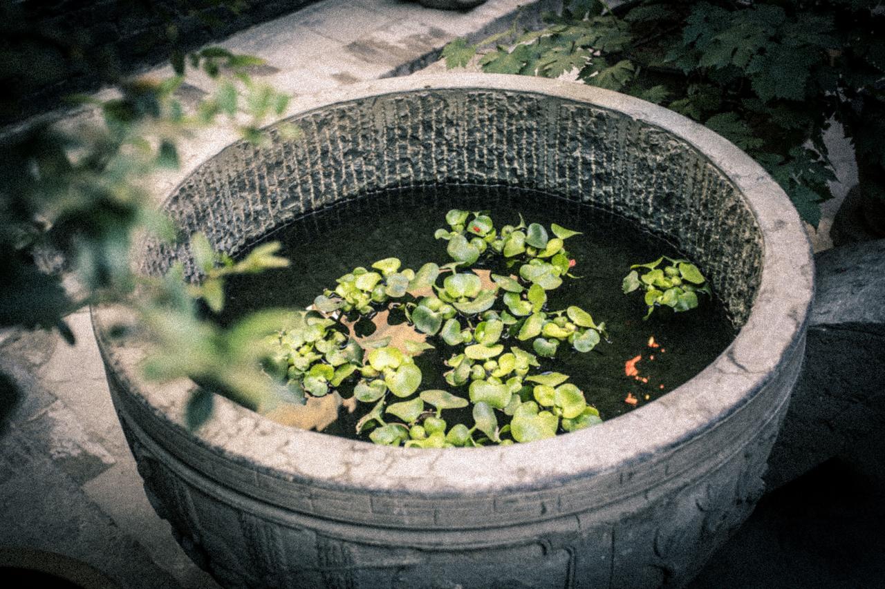 Hotel Selected Residence 平遥県 エクステリア 写真